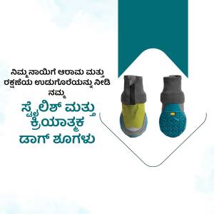 Quechua hiking shoes with Kannada text