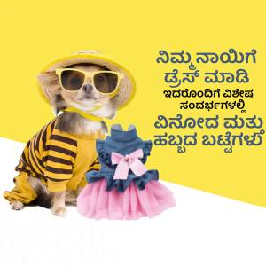 A small dog wearing sunglasses and a striped outfit with a pink and blue dress.