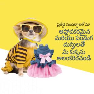 A cute chihuahua wearing sunglasses and a striped shirt with a pink tutu and hat, with Telugu text overlay.