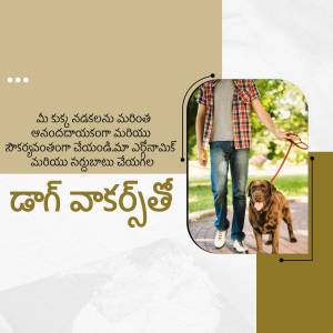 A man walking his dog on a leash outdoors with Telugu text overlay.