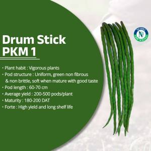 Image of Drum Stick PKM 1 Moringa pods and information about its characteristics.