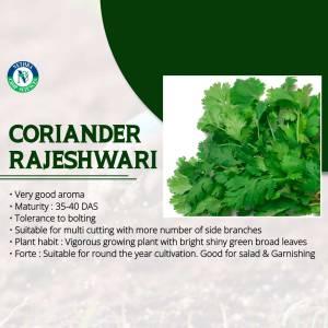 Image of Rajeshwari Coriander seeds packet with coriander leaves