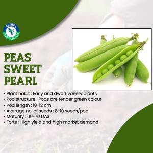 Image of a seed packet for Sweet Pearl peas, showing the peas themselves and key characteristics.