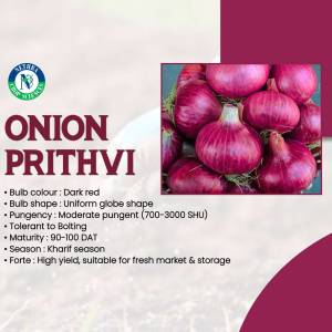 Close-up of red onions with product information