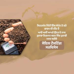 Hand holding a carrot seedling with soil and a pH meter