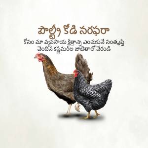 Image of two chickens with Telugu text for Sankranti festival