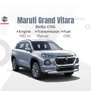 Silver Maruti Suzuki Grand Vitara Delta CNG car with specifications