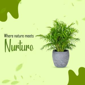 Potted palm plant with text 'Where nature meets Nurture'
