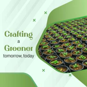 Seedlings growing in a tray, representing sustainable agriculture and environmental consciousness.