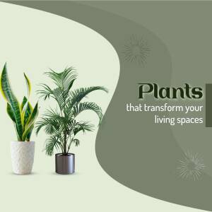 A promotional image featuring various potted indoor plants against a gradient green background.