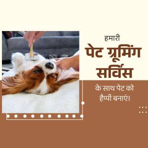 A dog getting groomed with a brush, advertising pet grooming services.