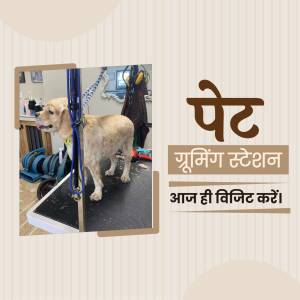 A dog being groomed at a pet grooming station with text in Hindi.