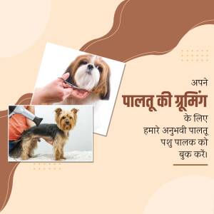 Image of a pet grooming advertisement featuring a Shih Tzu and a Yorkshire Terrier.
