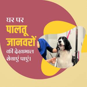 Image of a dog getting groomed at home with text in Hindi promoting at-home pet care services.