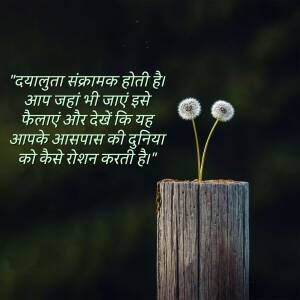 Two dandelion seed heads on a wooden post with a quote in Hindi about kindness.