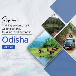 Collage of Odisha wildlife safari, trekking, and surfing adventures.