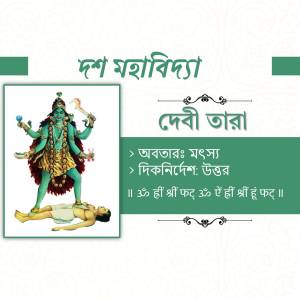 Image of Goddess Tara from Dash Mahavidya series