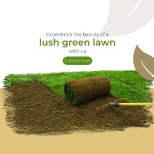Image of a lush green lawn being installed with a roll of turf and gardening tools.