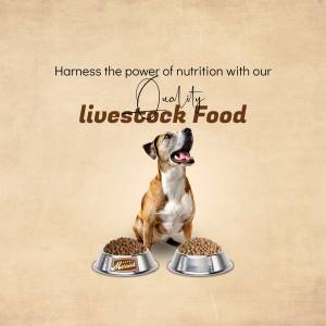 Image of a dog with bowls of Marriot livestock food, promoting quality nutrition.