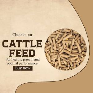 Advertisement for cattle feed promoting healthy growth and optimal performance.