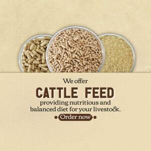 Three metal bowls filled with different types of cattle feed, with text promoting nutritious and balanced diet.