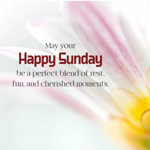 Close-up of a pink and white flower with the text 'Happy Sunday'