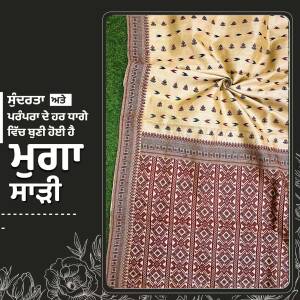Close-up of a traditional Phulkari saree with intricate embroidery.