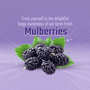Fresh Mulberries Promotional Banner For Instagram