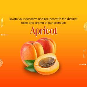 Close-up of fresh apricots with a halved apricot showing the pit, on a vibrant orange background.