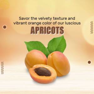 Close-up of fresh apricots with a cut open fruit showing the seed