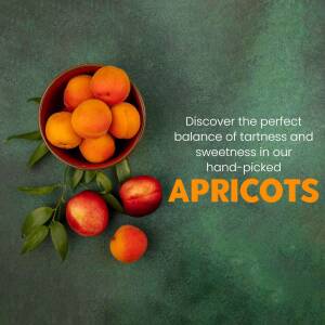 Bowl of fresh apricots with text promoting their sweetness and tartness.
