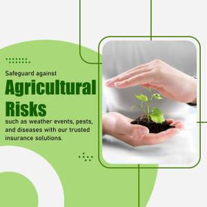 Hands protecting a seedling, representing agricultural risk insurance.