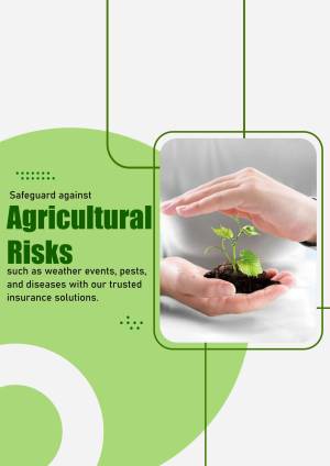 Hands protecting a seedling, representing agricultural risk insurance.