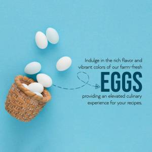 A small woven basket overflowing with white eggs on a blue background with text promoting fresh eggs.