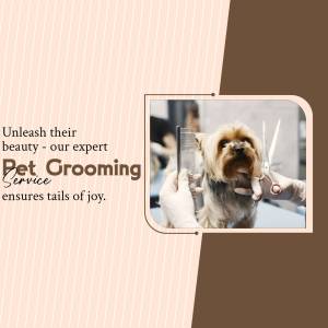 A dog getting groomed by a professional groomer.