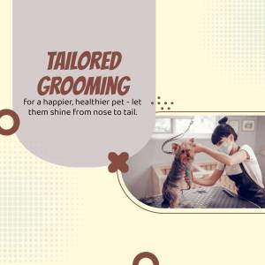 A woman grooming a small dog in a home setting, promoting tailored grooming services.