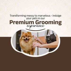 A cute Pomeranian dog getting groomed by a professional groomer.
