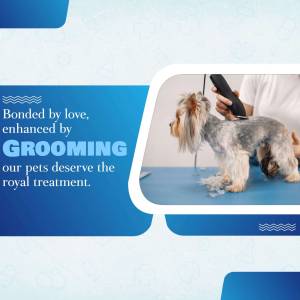 A groomer is giving a small dog a haircut.
