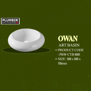 White Owan Art Basin by Plumber Bathware with product details