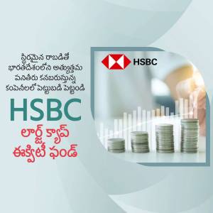 HSBC Large Cap Equity Fund advertisement with logo and financial imagery.