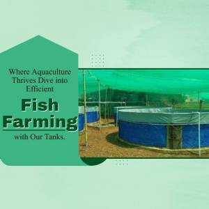 Image of fish farming tanks with text overlay promoting efficient aquaculture.