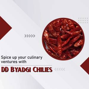 Close-up of dried red Byadgi chilies in a circular arrangement with text overlay.