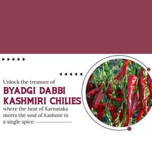 Close-up of Byadgi Dabbi Kashmiri Chilies with text overlay