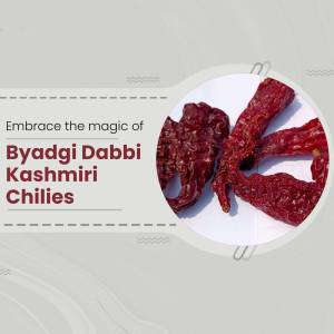 Close-up of Byadgi Dabbi Kashmiri Chilies on a white plate