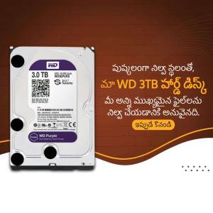 Western Digital Purple 3TB Internal Hard Drive for Surveillance Systems