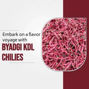 Close-up of dried Byadgi chilies with text overlay