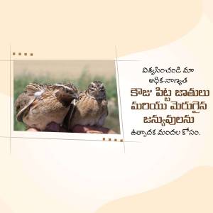 Two Grey Francolin birds resting together, with Telugu text overlay.