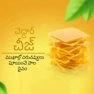 Stack of cheddar cheese slices with green leaf background