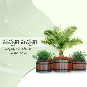 Pachani Pots - Decorative Planters Promotional Banner For Instagram
