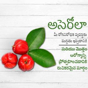 Close-up of Rose Apples with Telugu text describing health benefits